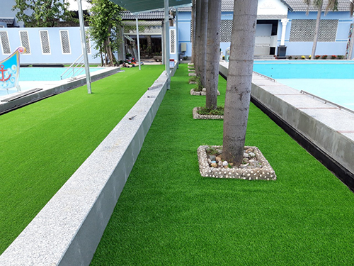 Dự án cỏ sân vườn tại Bình Chánh - TPHCM